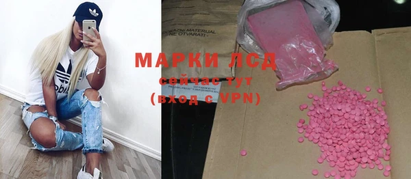 стафф Михайлов