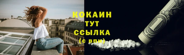 стафф Михайлов