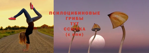кокаин перу Медногорск