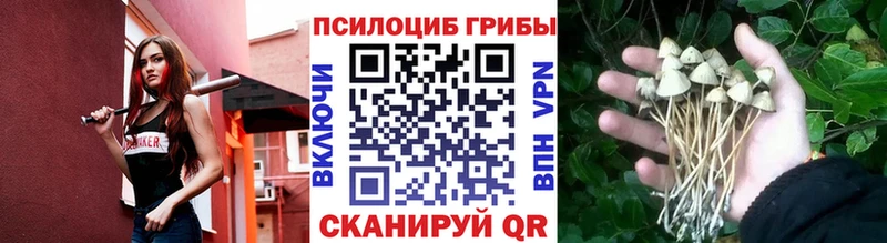 Галлюциногенные грибы ЛСД  OMG зеркало  Курганинск 