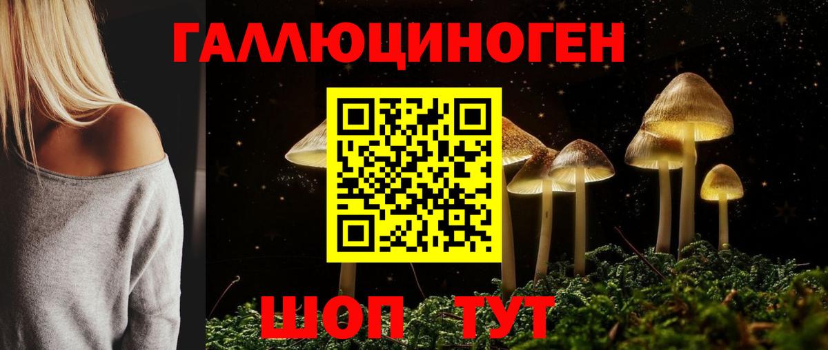 Галлюциногенные грибы GOLDEN TEACHER Курганинск