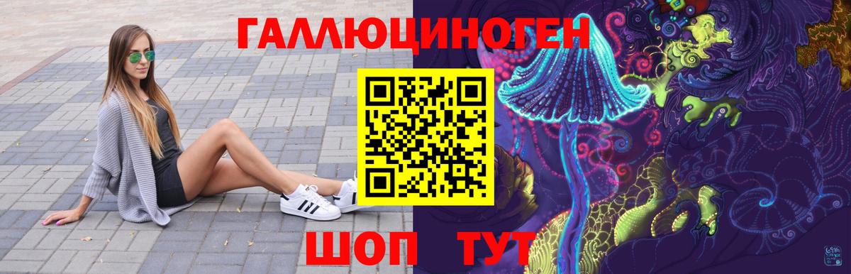 Галлюциногенные грибы Psilocybe  Вход с VPN  цена наркотик  Галлюциногенные грибы прущие грибы  Курганинск 